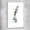 Floral print of Eucalyptus One with white glass front frame
