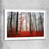 Floral print of Foggy Autumn Forest with white glass front frame