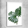 Floral print of Monstera Leaf One with white glass front frame