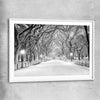 Floral print of Snowy Central Park with white glass front frame