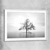 Floral print of Sole Mangrove with white glass front frame
