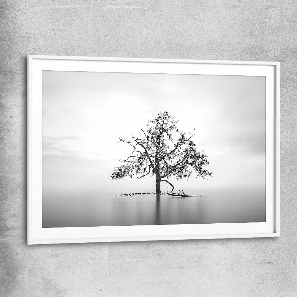 Floral print of Sole Mangrove with white glass front frame