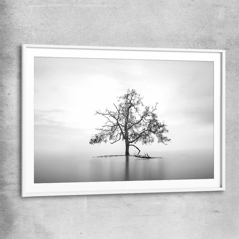 Floral print of Sole Mangrove with white glass front frame