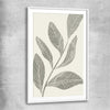 Floral print of Vintage Floral Three with white glass front frame