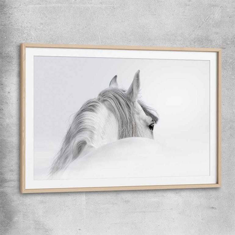 Animal wall art and canvas prints of Andalusian Horse with raw oak glass front frame