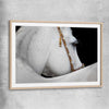 Animal wall art and canvas prints of Arabian Horse with raw oak glass front frame