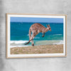 Animal wall art and canvas prints of Coastal Kangaroo Leap with raw oak glass front frame