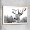Animal wall art and canvas prints of Deer Focus with raw oak glass front frame