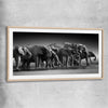 Animal wall art and canvas prints of Elephant Herd with raw oak glass front frame