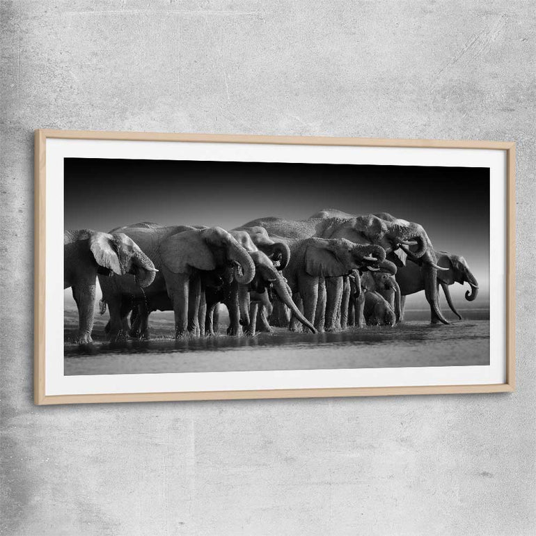 Animal wall art and canvas prints of Elephant Herd with raw oak glass front frame