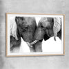 Animal wall art and canvas prints of Elephant Love with raw oak glass front frame