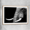 Animal wall art and canvas prints of Elephant Majesty with raw oak glass front frame