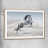 Animal wall art and canvas prints of Free Spirit Horse with raw oak glass front frame