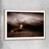 Animal wall art and canvas prints of Glowing Deer with raw oak glass front frame
