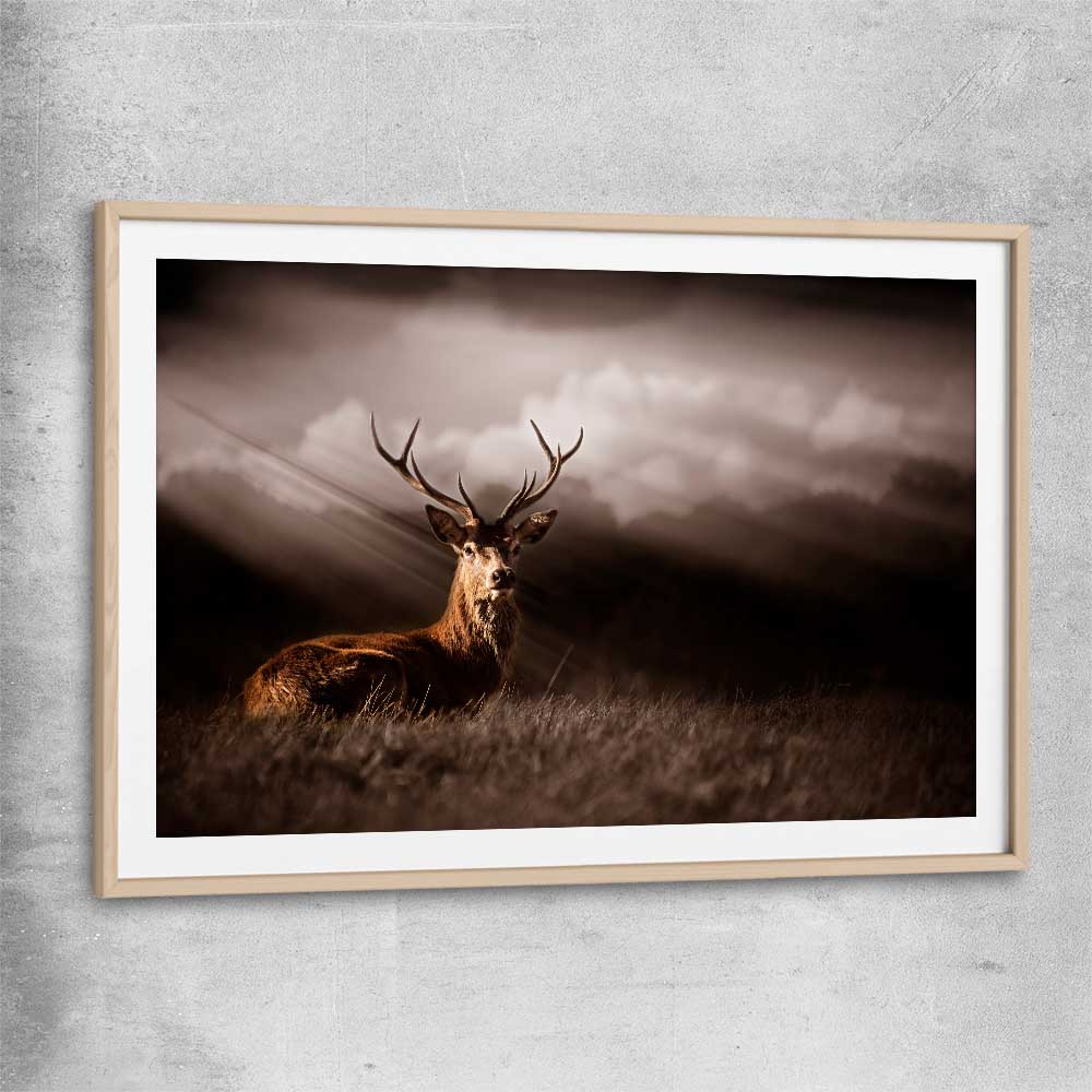 Animal wall art and canvas prints of Glowing Deer with raw oak glass front frame