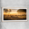 Animal wall art and canvas prints of Grazing Cattle at Sunrise with raw oak glass front frame