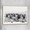Animal wall art and canvas prints of Highland Monochrome with raw oak glass front frame