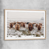 Animal wall art and canvas prints of Highland Ranges with raw oak glass front frame