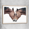 Animal wall art and canvas prints of Horse Affection with raw oak glass front frame