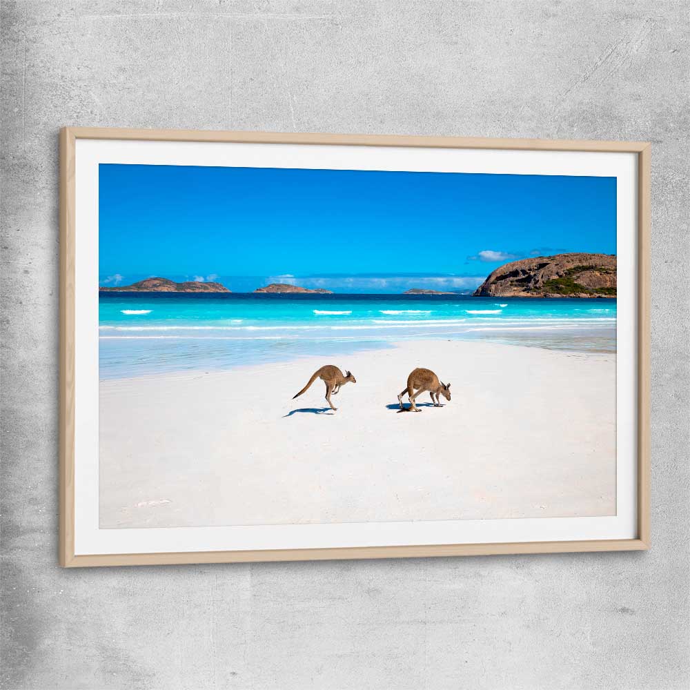 Animal wall art and canvas prints of Kangaroo Beach Couple with raw oak glass front frame