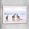 Animal wall art and canvas prints of Kangaroo Couple with raw oak glass front frame