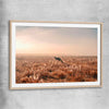Animal wall art and canvas prints of Kangaroo Desert Horizon with raw oak glass front frame
