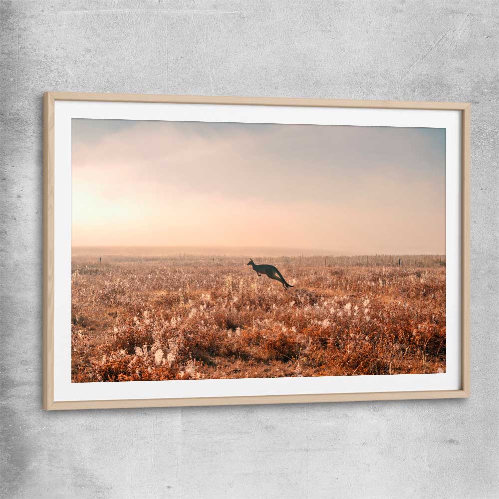 Animal wall art and canvas prints of Kangaroo Desert Horizon with raw oak glass front frame