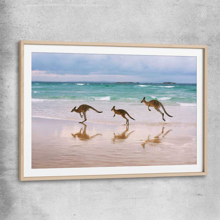 Animal wall art and canvas prints of Kangaroo Family with raw oak glass front frame