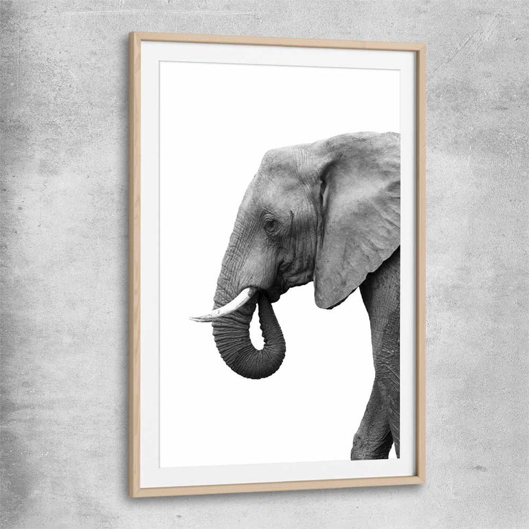 Animal wall art and canvas prints of Lone Elephant with raw oak glass front frame