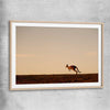 Animal wall art and canvas prints of Lone Kangaroo Plains with raw oak glass front frame