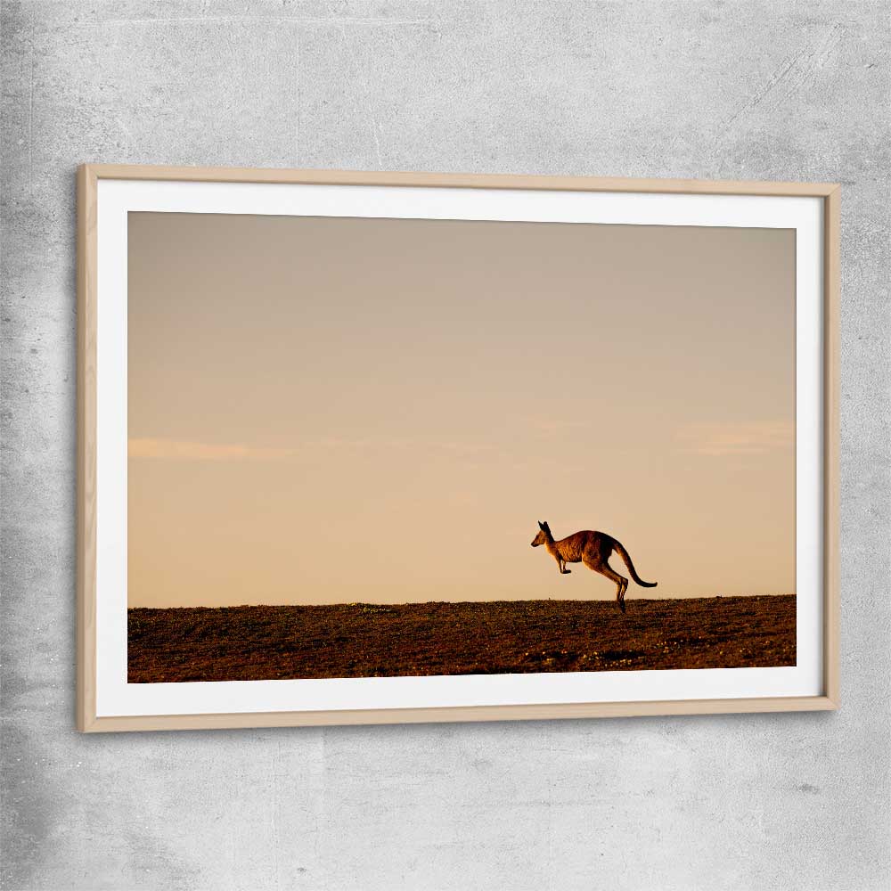 Animal wall art and canvas prints of Lone Kangaroo Plains with raw oak glass front frame