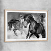 Animal wall art and canvas prints of Majestic Horse with raw oak glass front frame