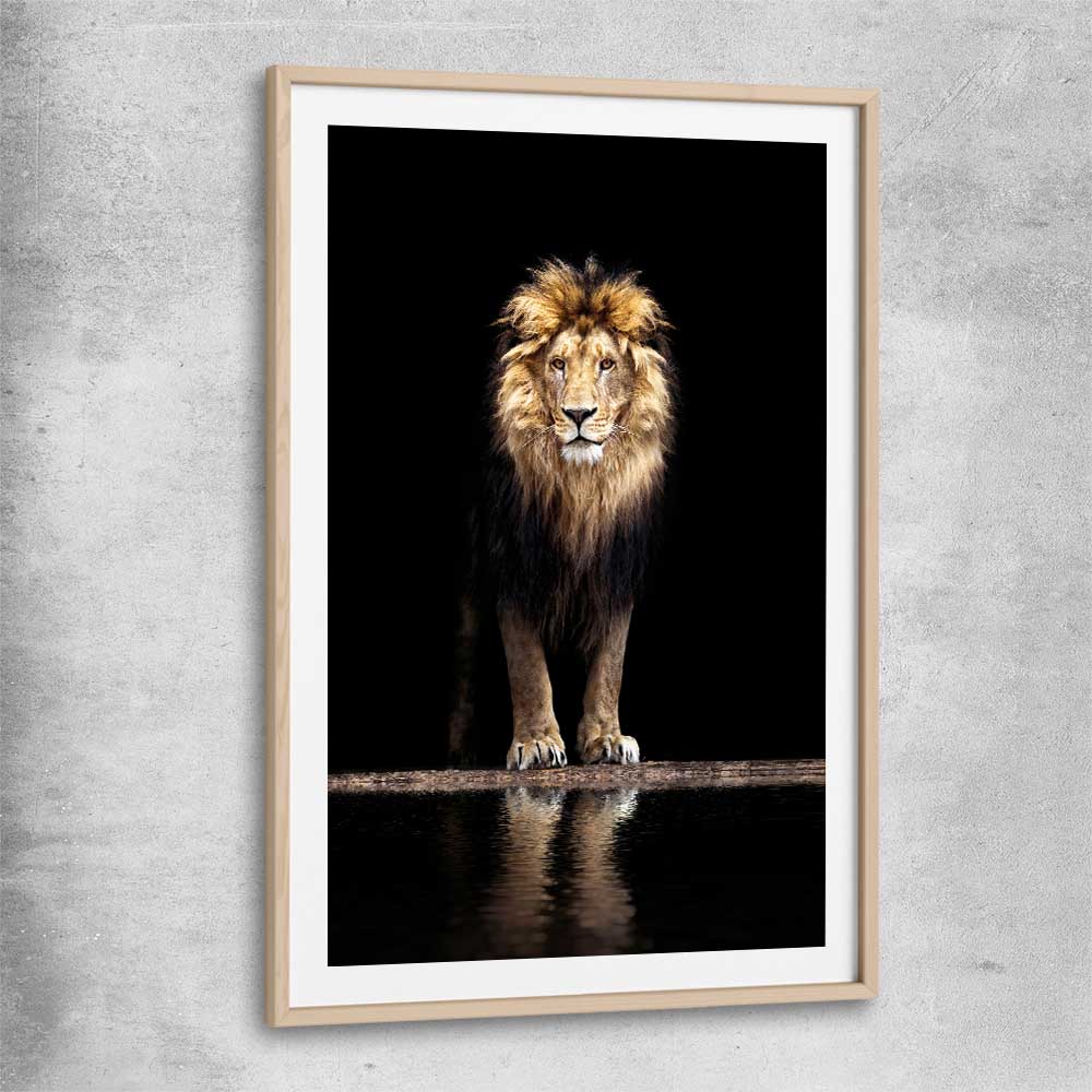 Animal wall art and canvas prints of Majestic Lion Portrait with raw oak glass front frame