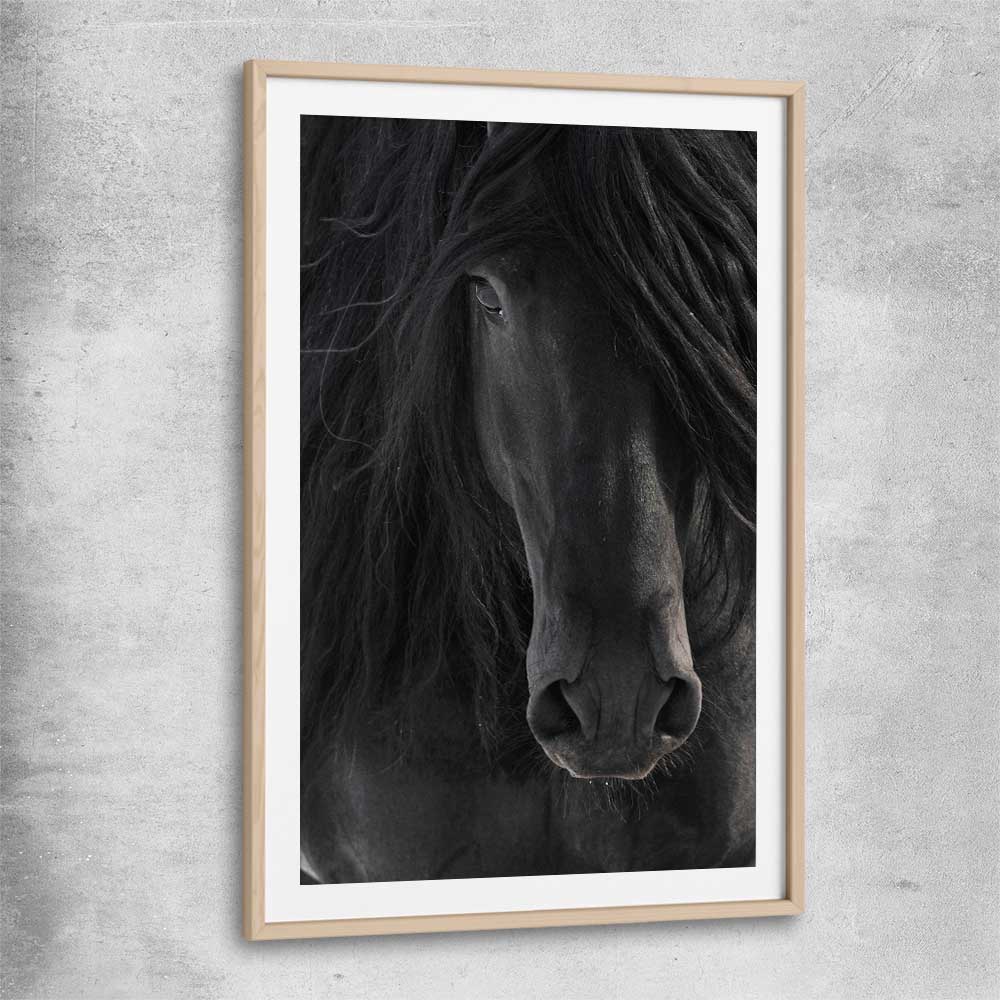 Animal wall art and canvas prints of Midnight Friesian Horse with raw oak glass front frame