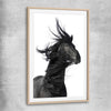 Animal wall art and canvas prints of Midnight Horse with raw oak glass front frame