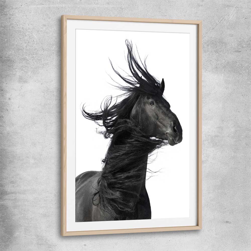 Animal wall art and canvas prints of Midnight Horse with raw oak glass front frame