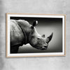 Animal wall art and canvas prints of Monochrome Rhinoceros with raw oak glass front frame