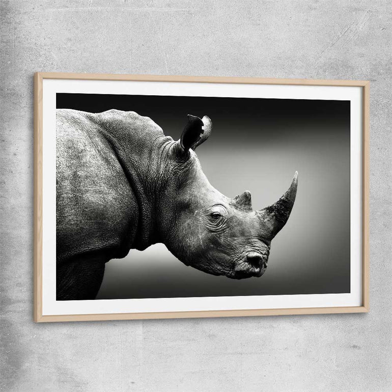 Animal wall art and canvas prints of Monochrome Rhinoceros with raw oak glass front frame
