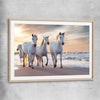 Animal wall art and canvas prints of Ocean Breeze Horses with raw oak glass front frame