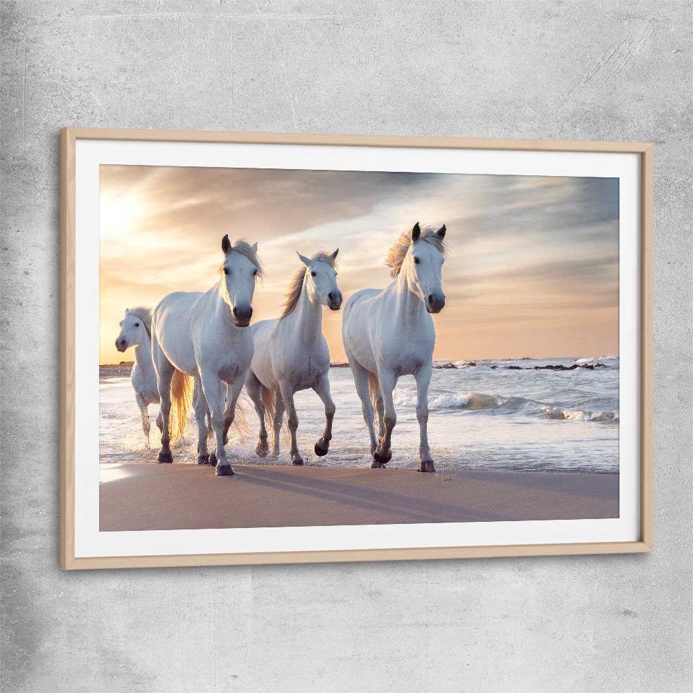 Animal wall art and canvas prints of Ocean Breeze Horses with raw oak glass front frame