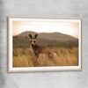 Animal wall art and canvas prints of Outback Kangaroo with raw oak glass front frame