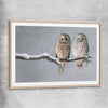 Animal wall art and canvas prints of Perched Owls with raw oak glass front frame
