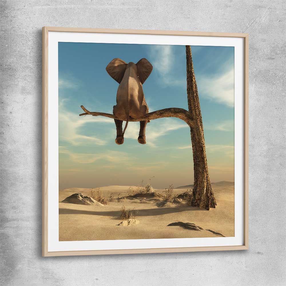 Animal wall art and canvas prints of Pondering Elephant with raw oak glass front frame