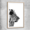 Animal wall art and canvas prints of Pondering Lion with raw oak glass front frame