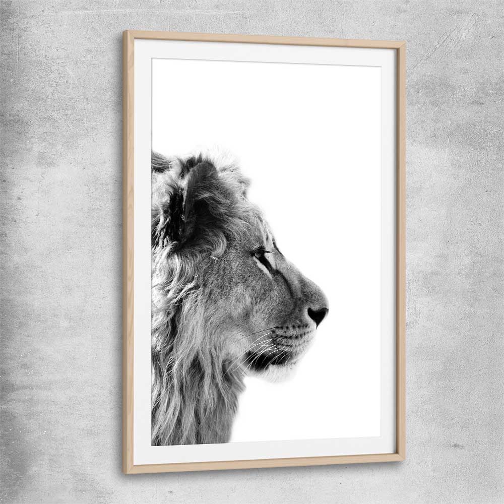 Animal wall art and canvas prints of Pondering Lion with raw oak glass front frame