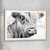 Animal wall art and canvas prints of Quiet Highland Cow with raw oak glass front frame