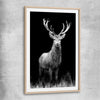 Animal wall art and canvas prints of Red Deer Gaze with raw oak glass front frame