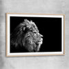 Animal wall art and canvas prints of Regal Lion Profile with raw oak glass front frame