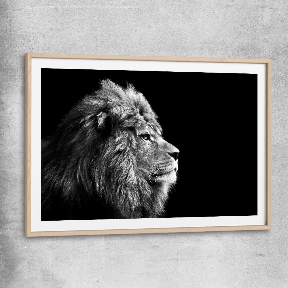 Animal wall art and canvas prints of Regal Lion Profile with raw oak glass front frame