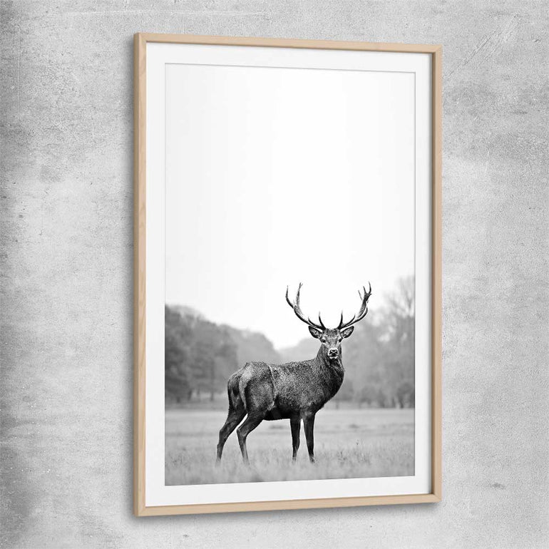 Animal wall art and canvas prints of Roaming Deer with raw oak glass front frame